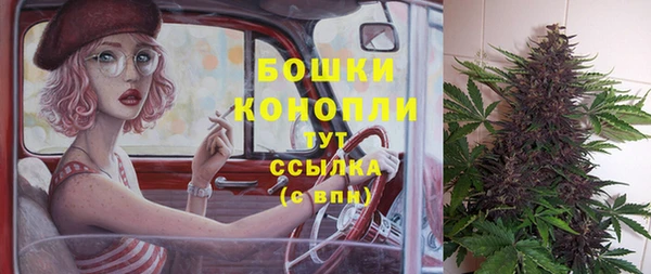 стафф Покачи