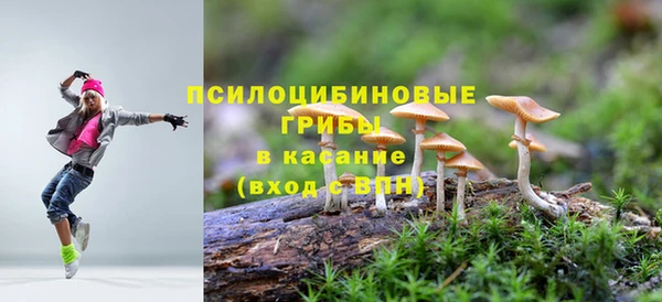 гидропоника Армянск