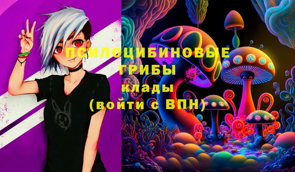 соль курить ск Арсеньев